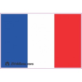 Nacionalinis vėliavos lipdukas - Prancūzija